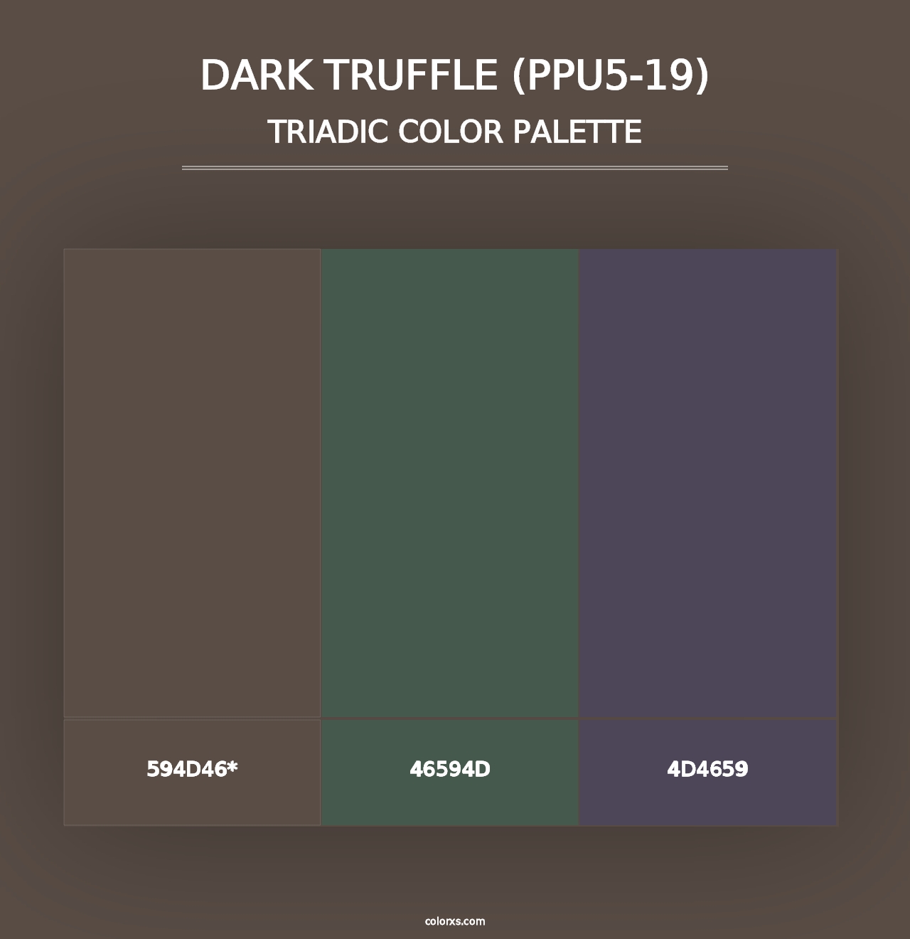 Dark Truffle (PPU5-19) - Triadic Color Palette