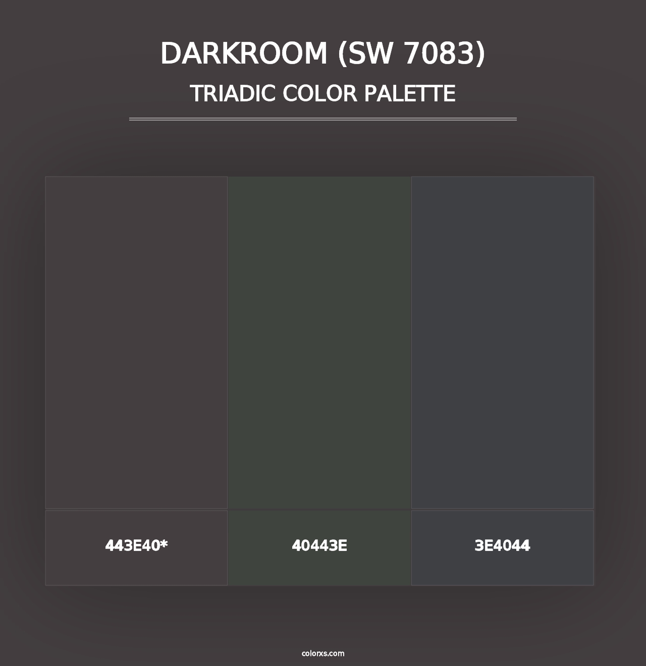 Darkroom (SW 7083) - Triadic Color Palette