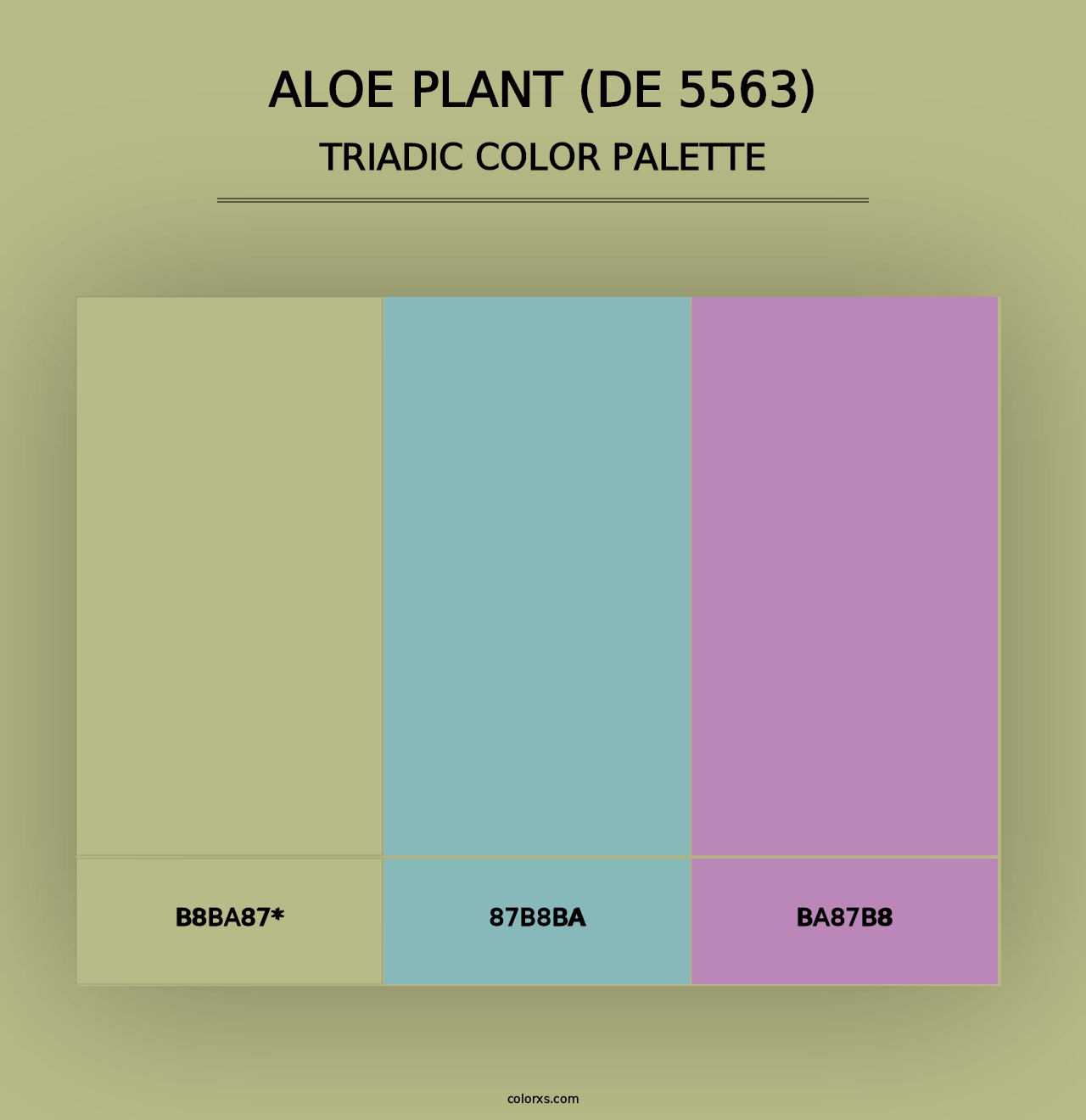 Aloe Plant (DE 5563) - Triadic Color Palette