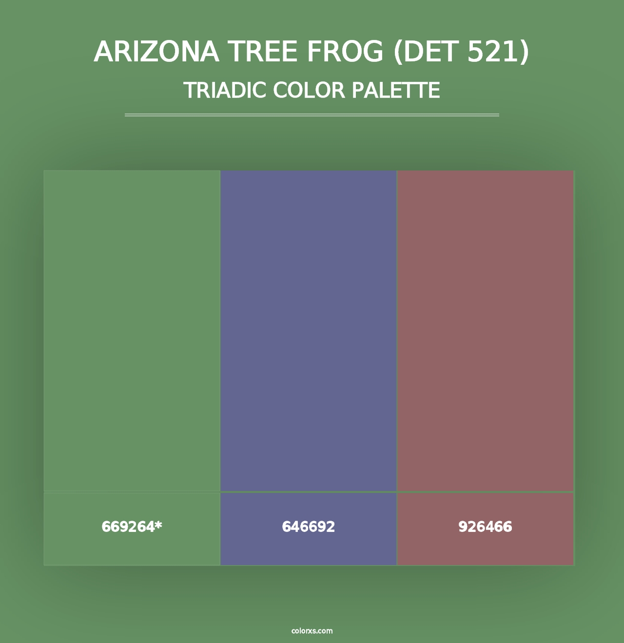 Arizona Tree Frog (DET 521) - Triadic Color Palette