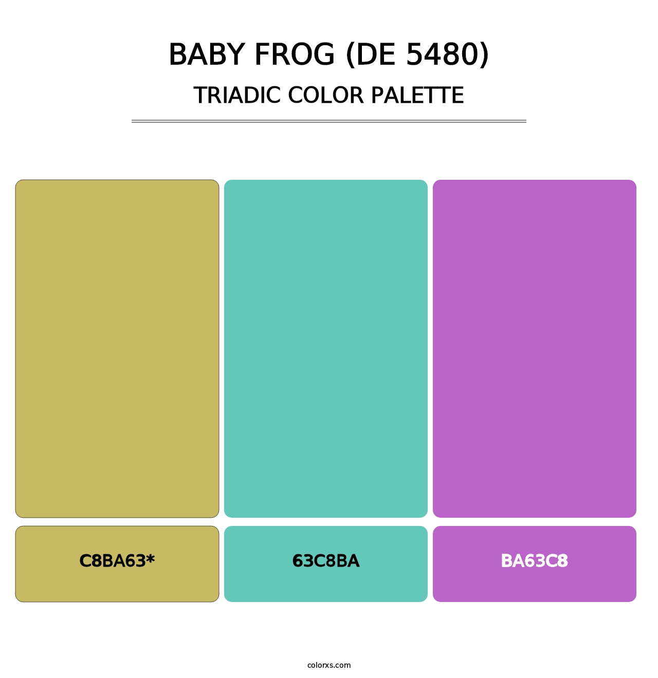 Baby Frog (DE 5480) - Triadic Color Palette