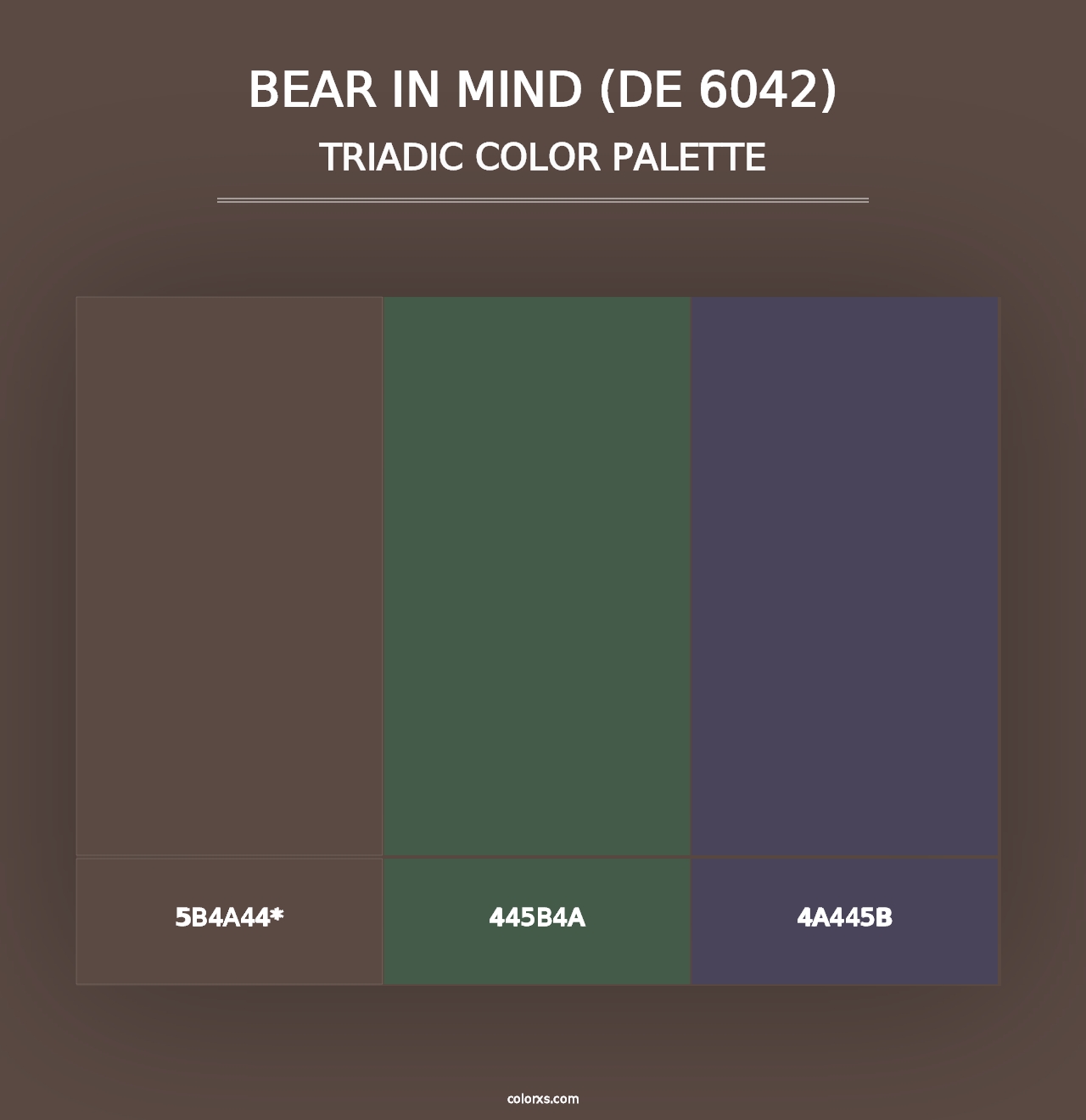 Bear in Mind (DE 6042) - Triadic Color Palette