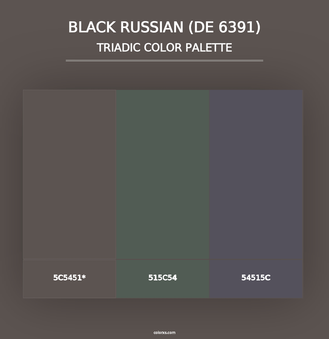 Black Russian (DE 6391) - Triadic Color Palette