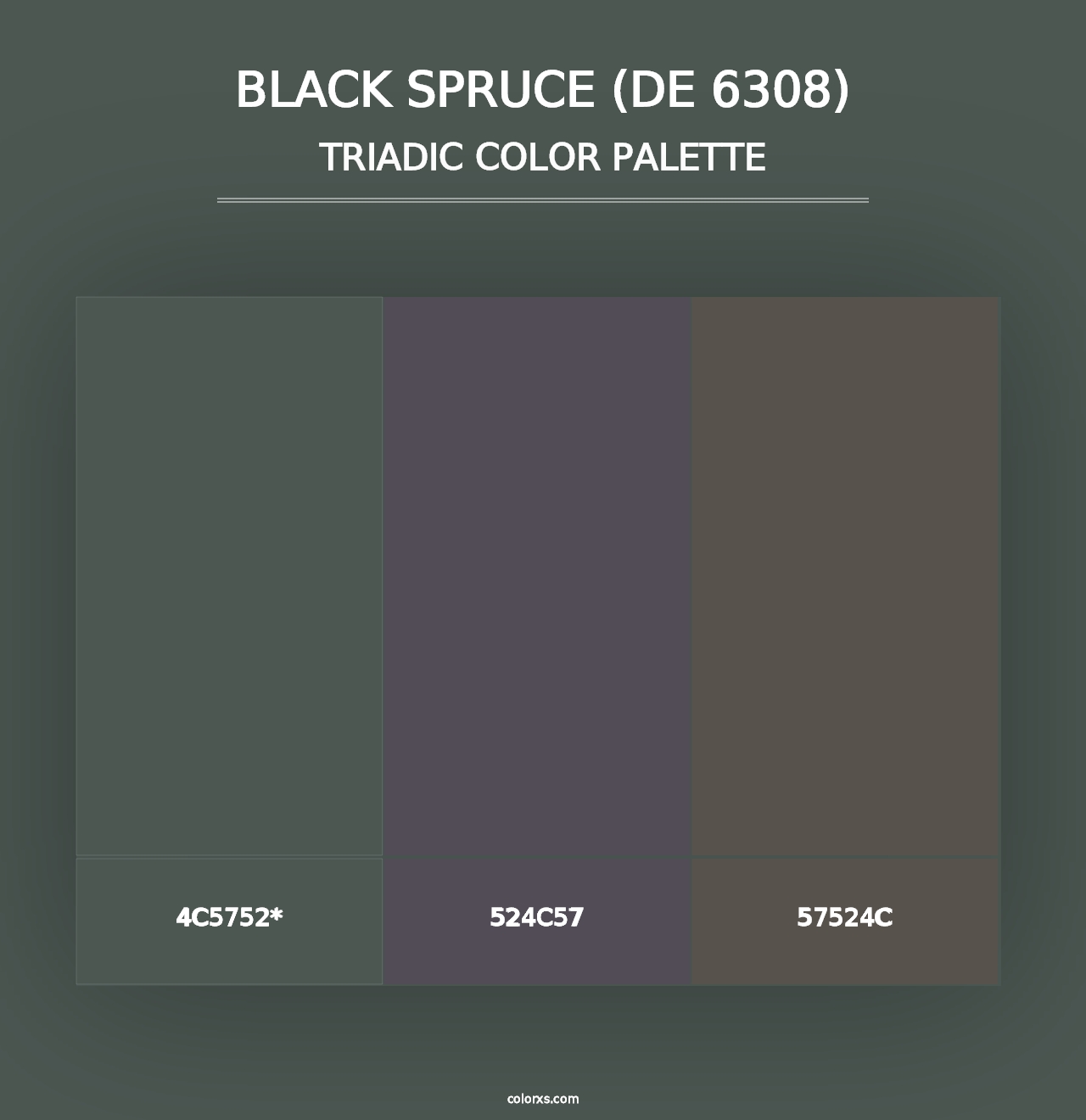 Black Spruce (DE 6308) - Triadic Color Palette