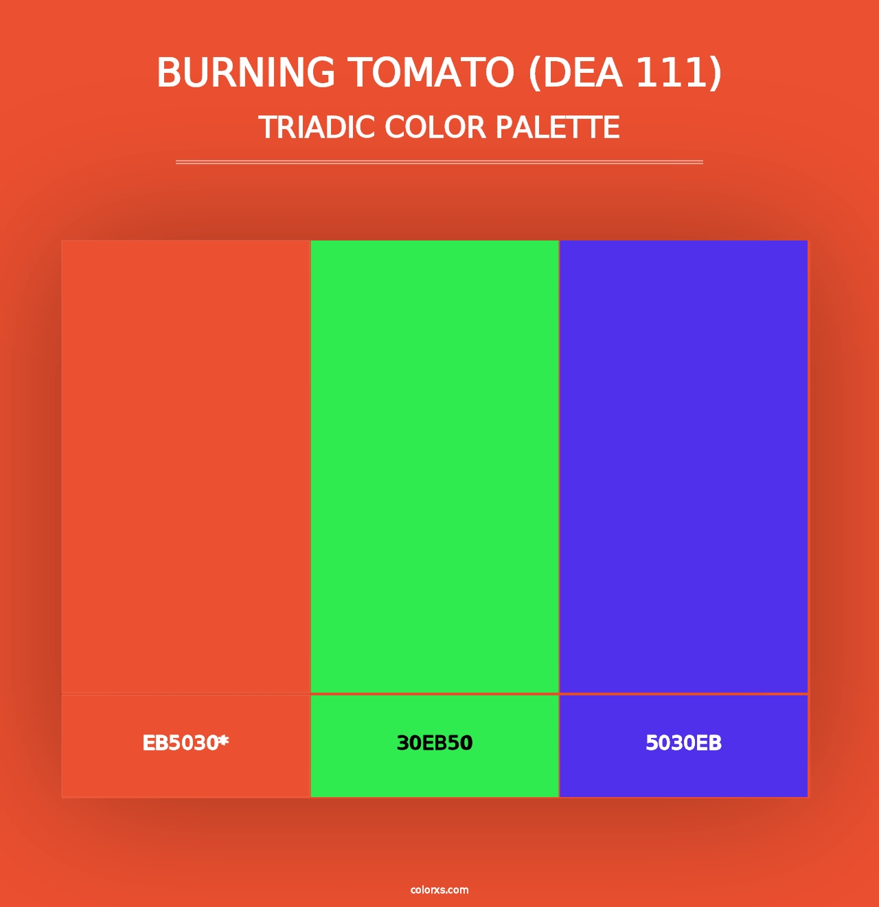 Burning Tomato (DEA 111) - Triadic Color Palette