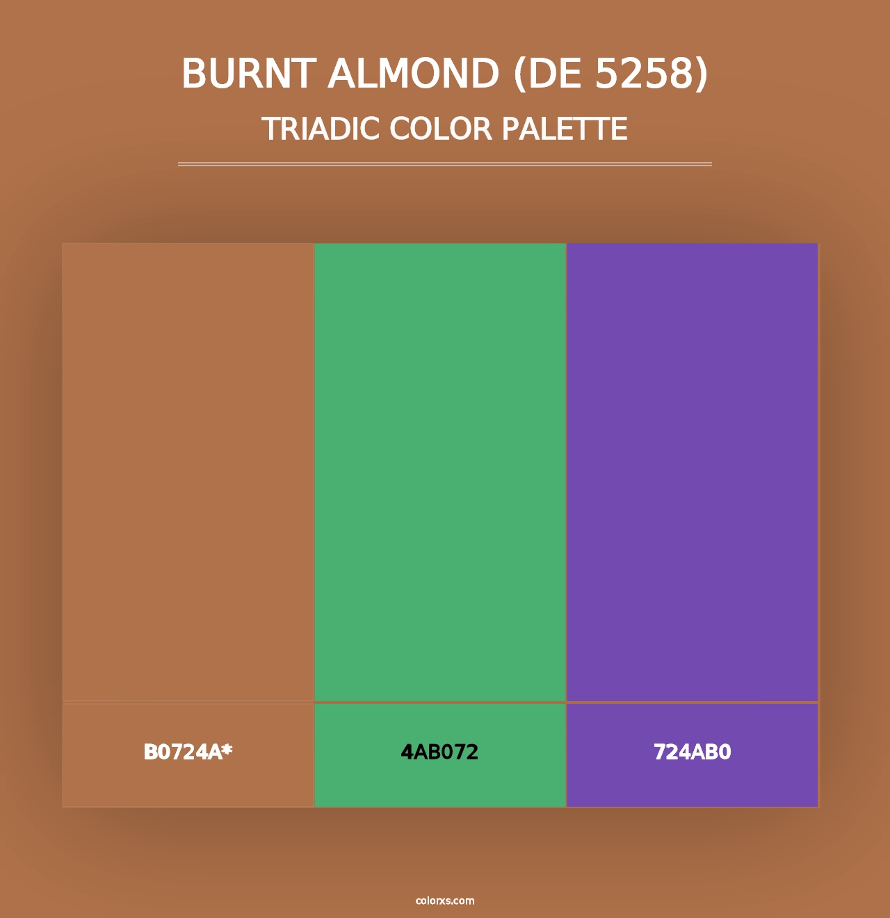 Burnt Almond (DE 5258) - Triadic Color Palette