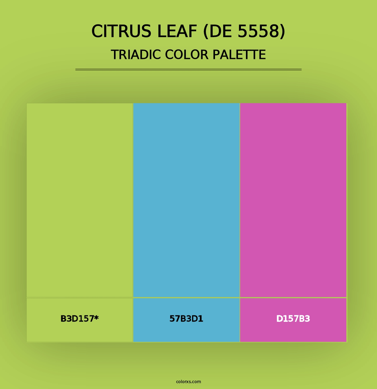 Citrus Leaf (DE 5558) - Triadic Color Palette