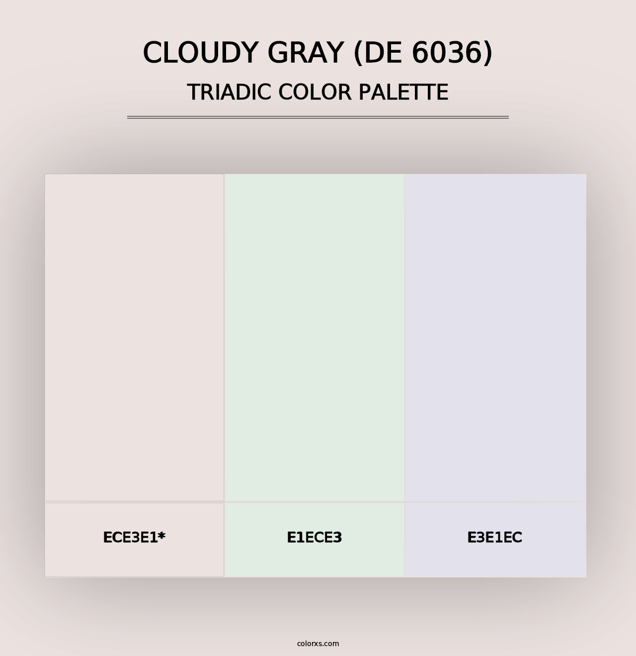 Cloudy Gray (DE 6036) - Triadic Color Palette