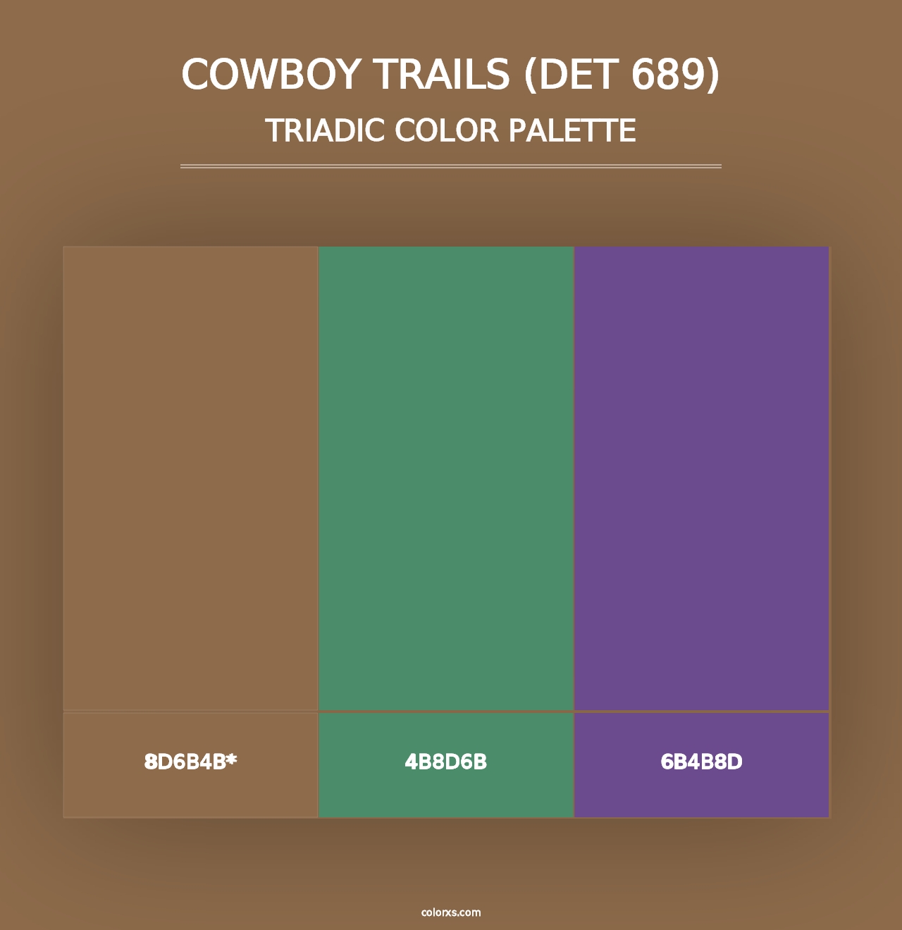 Cowboy Trails (DET 689) - Triadic Color Palette