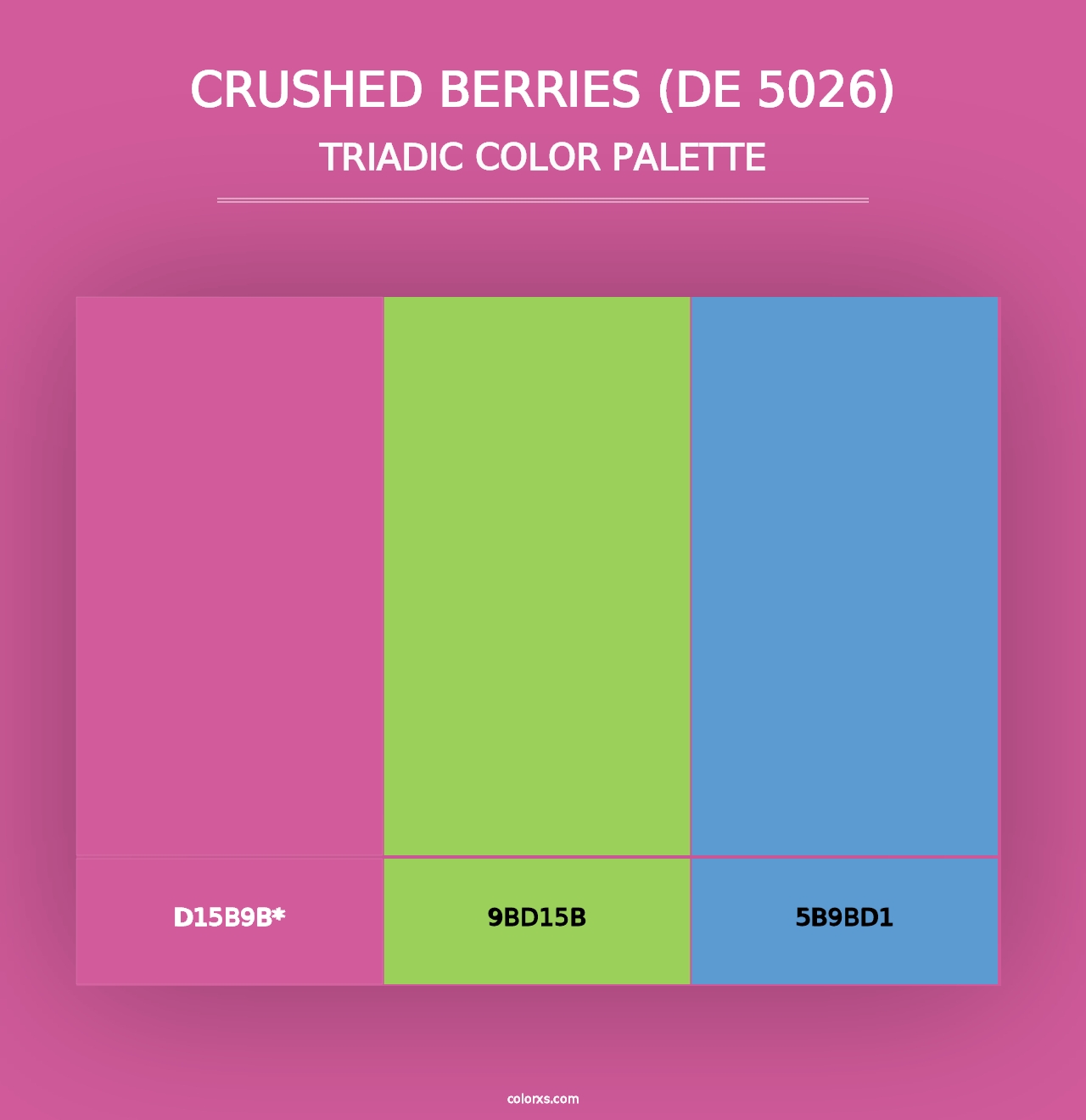 Crushed Berries (DE 5026) - Triadic Color Palette