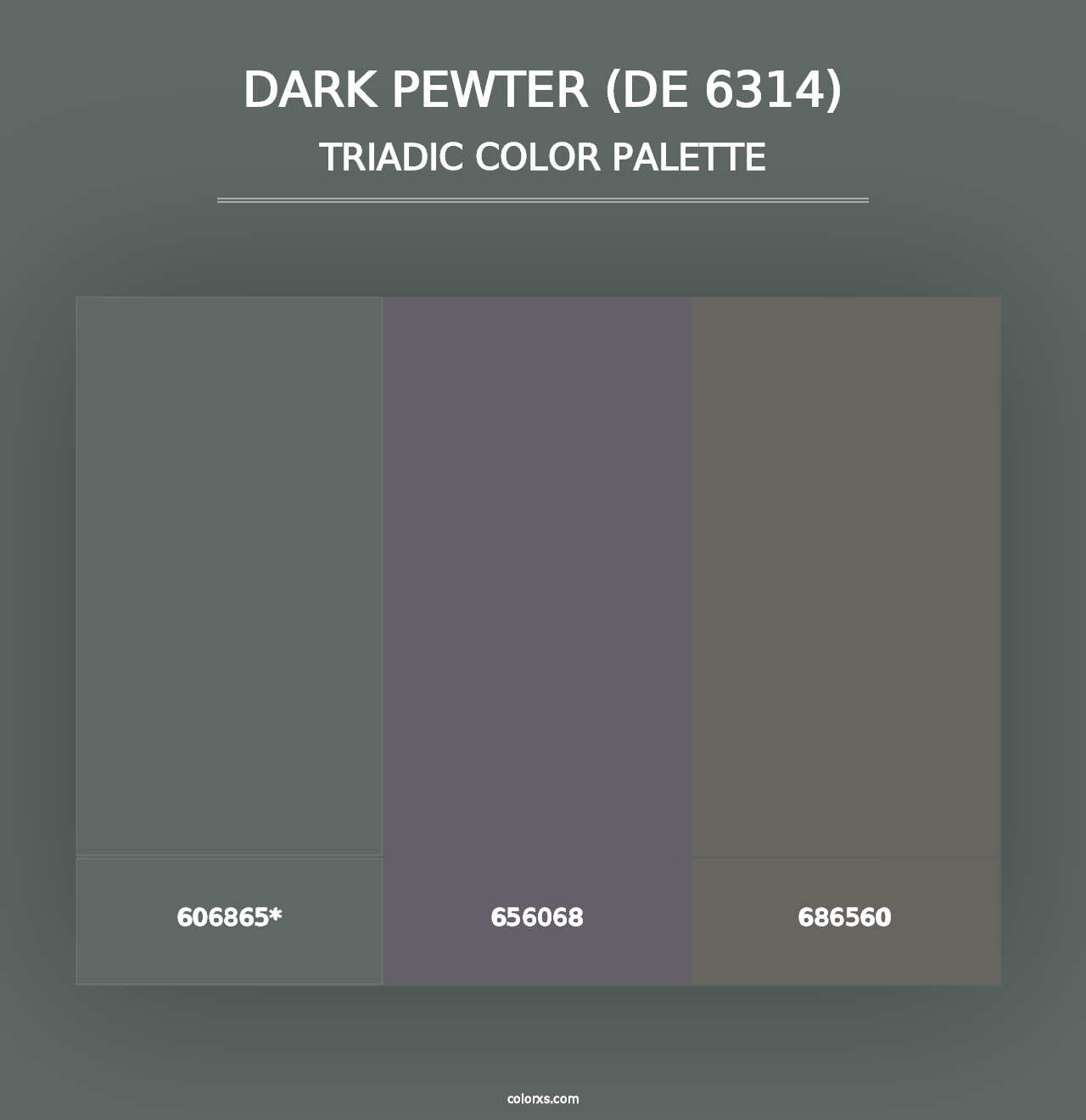 Dark Pewter (DE 6314) - Triadic Color Palette