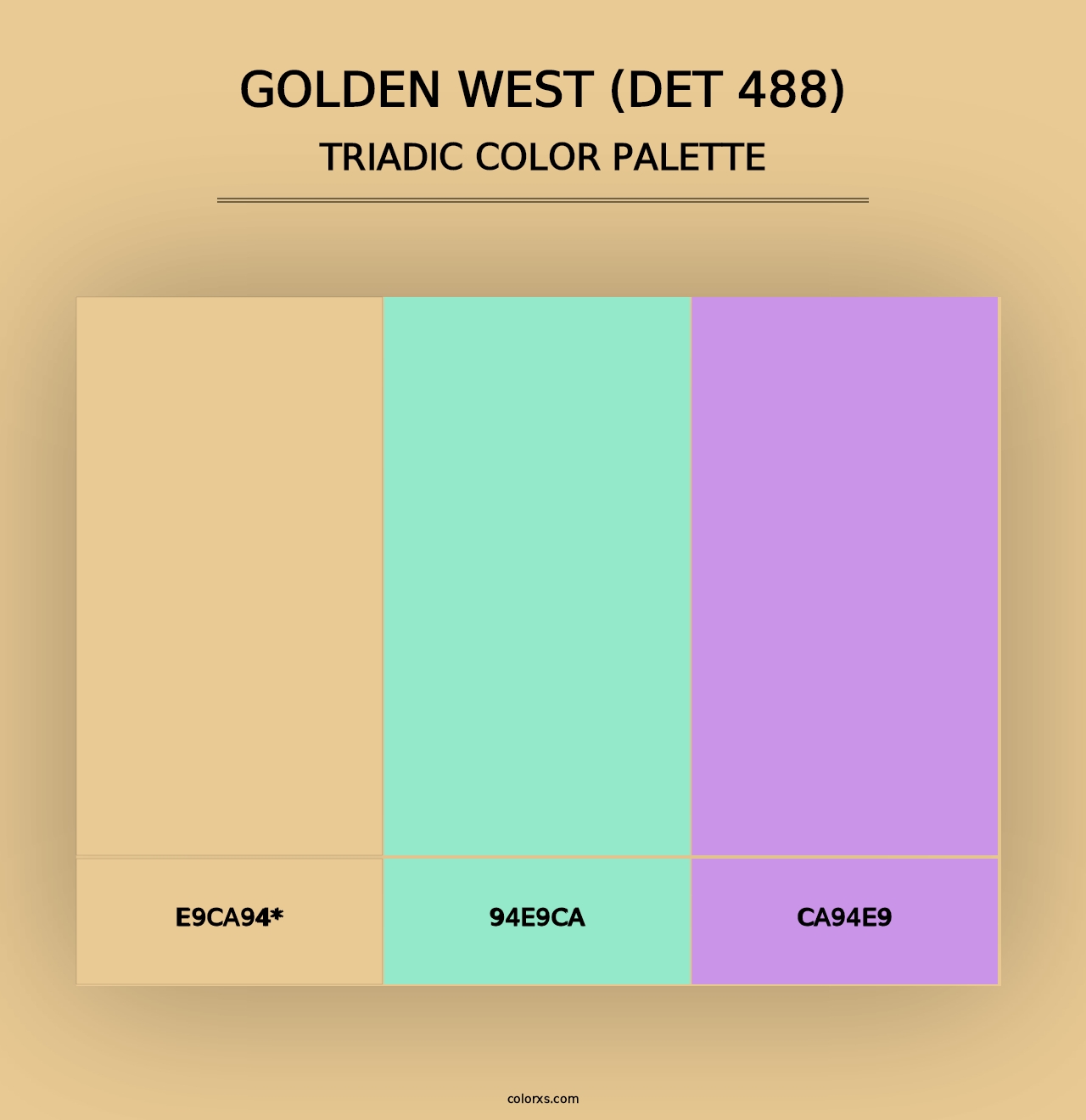 Golden West (DET 488) - Triadic Color Palette