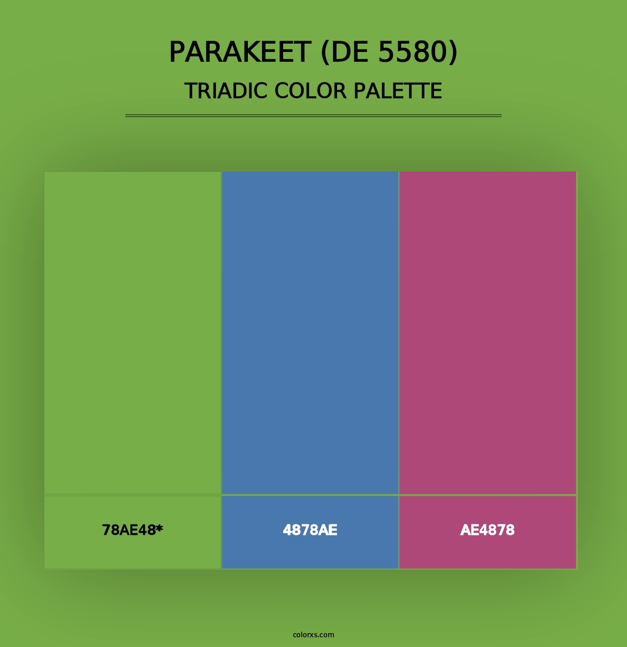 Parakeet (DE 5580) - Triadic Color Palette