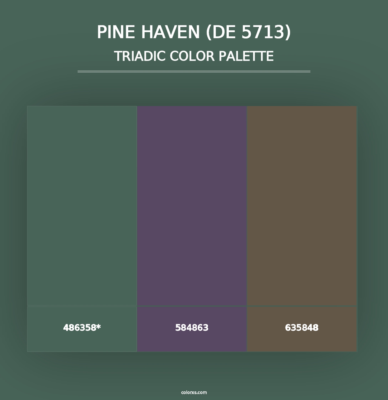 Pine Haven (DE 5713) - Triadic Color Palette