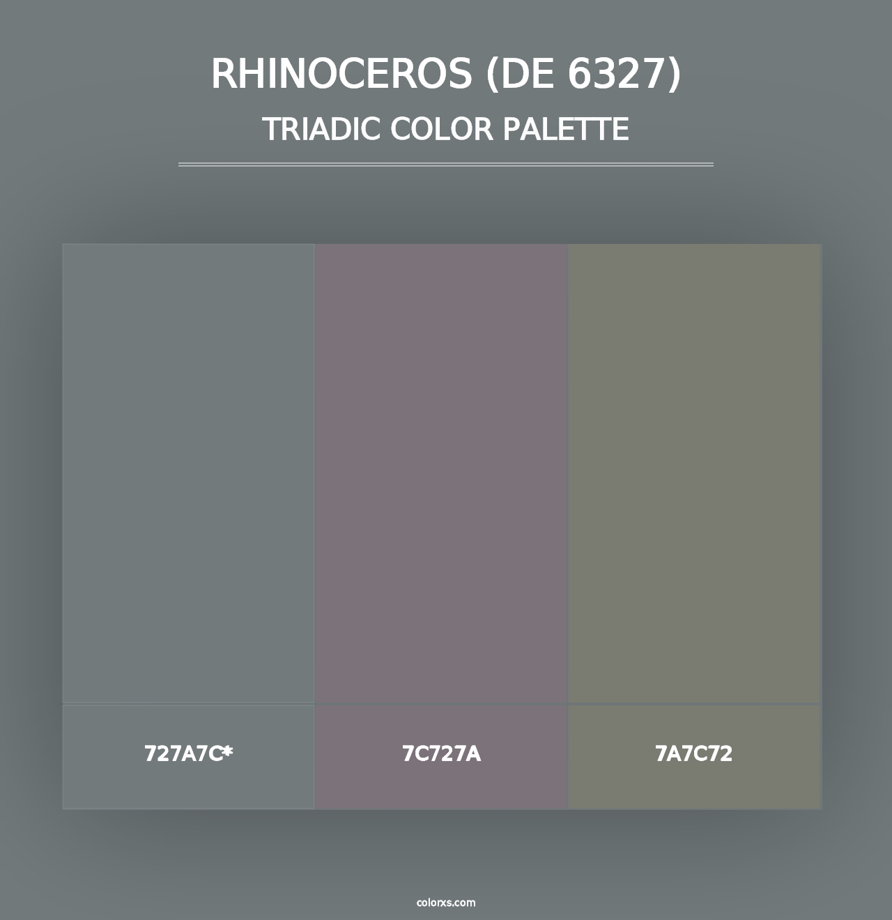 Rhinoceros (DE 6327) - Triadic Color Palette