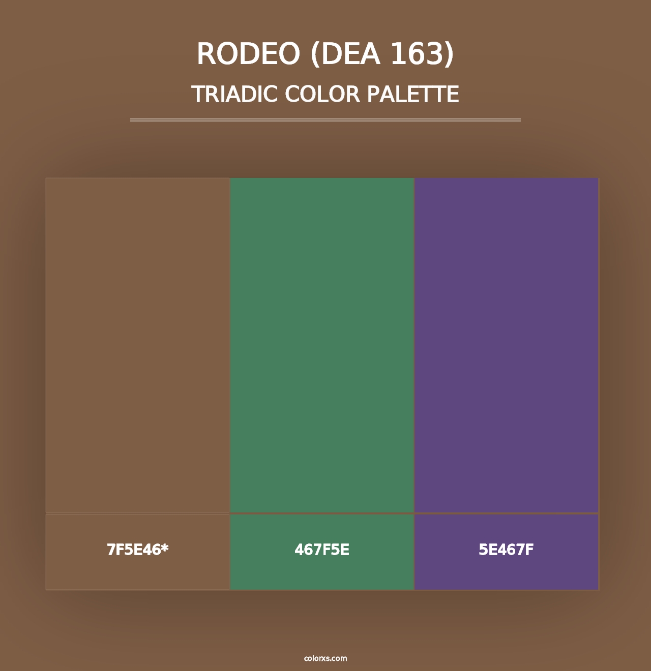 Rodeo (DEA 163) - Triadic Color Palette