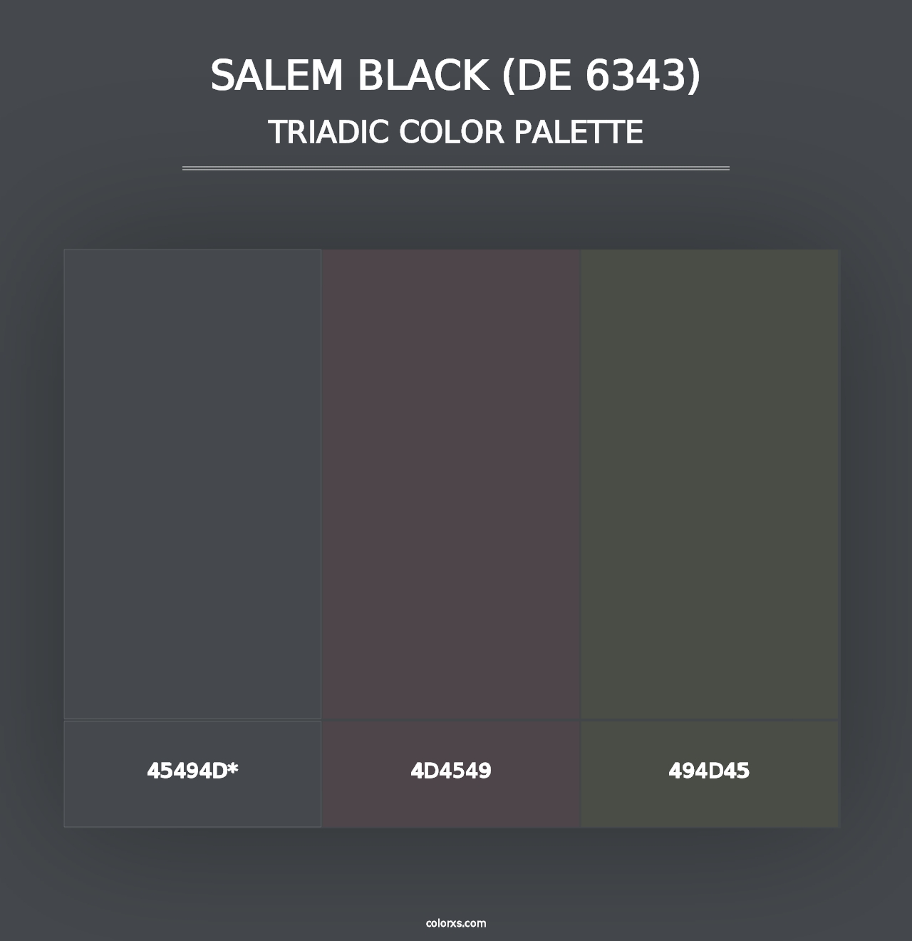 Salem Black (DE 6343) - Triadic Color Palette