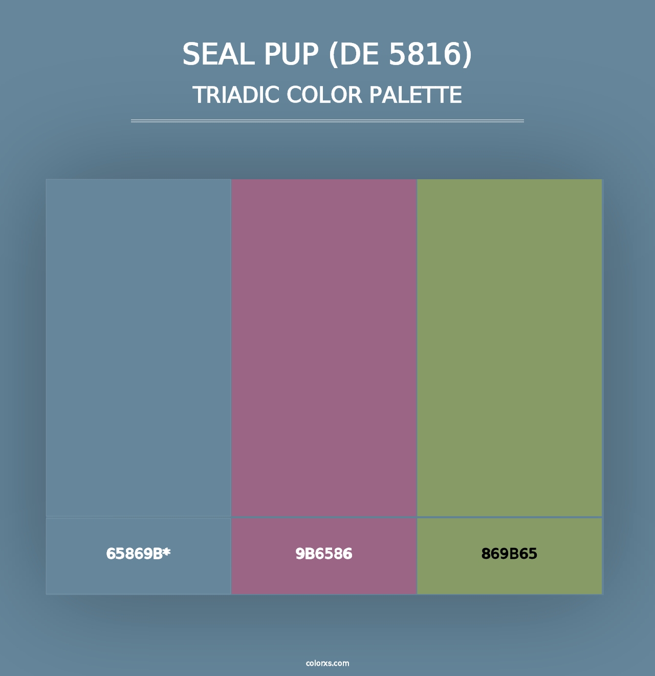 Seal Pup (DE 5816) - Triadic Color Palette