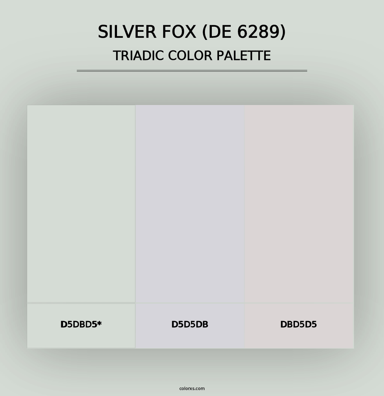 Silver Fox (DE 6289) - Triadic Color Palette