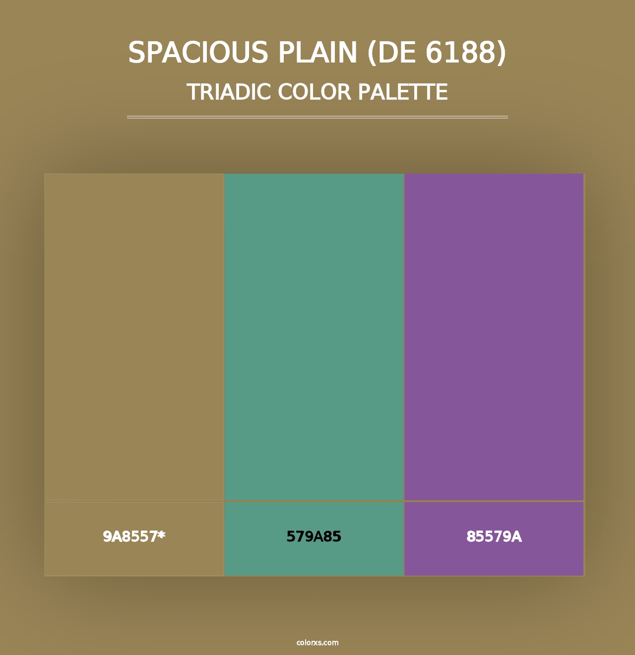 Spacious Plain (DE 6188) - Triadic Color Palette