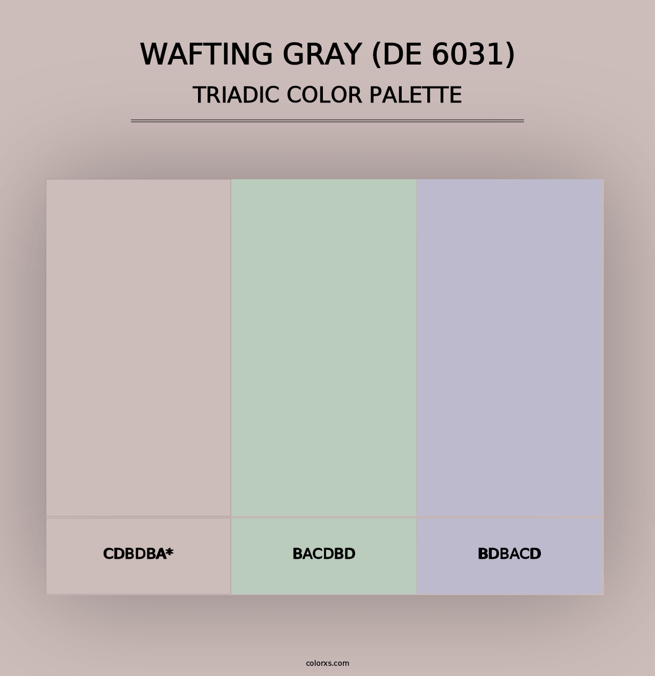 Wafting Gray (DE 6031) - Triadic Color Palette