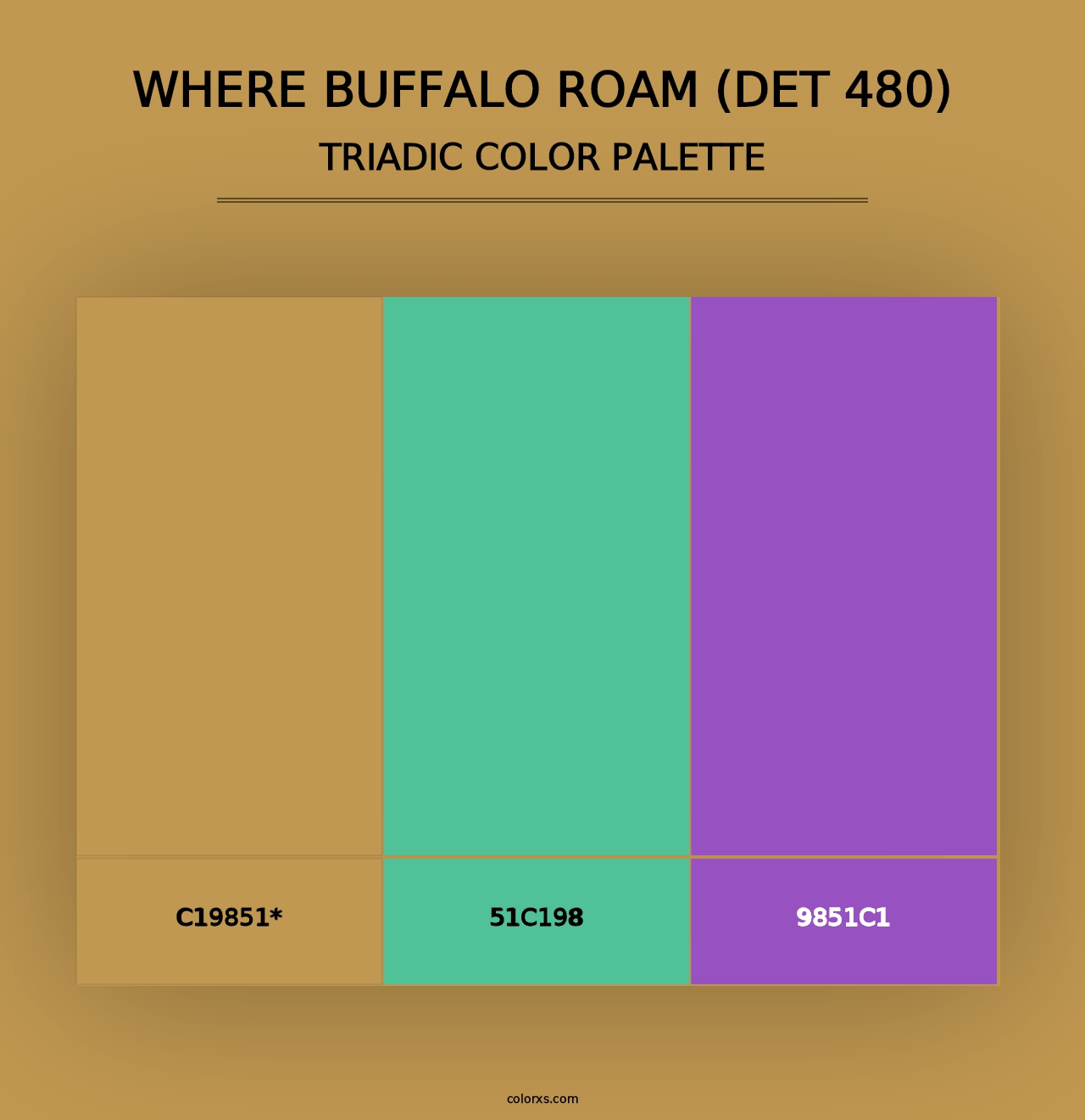 Where Buffalo Roam (DET 480) - Triadic Color Palette