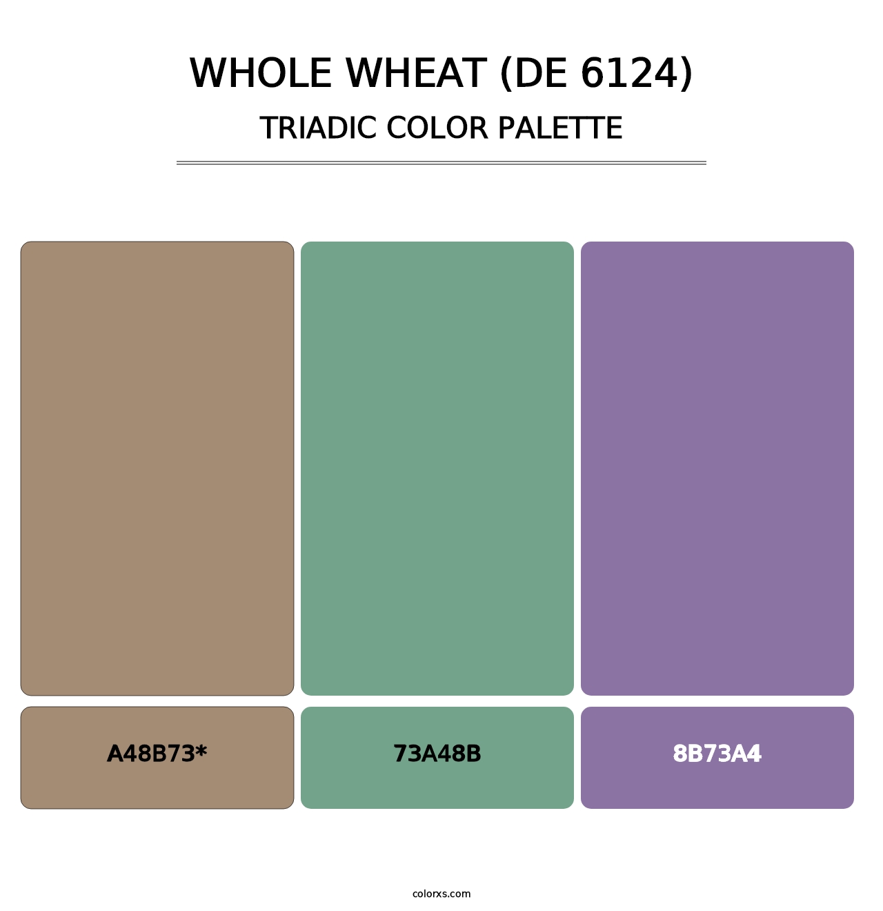 Whole Wheat (DE 6124) - Triadic Color Palette