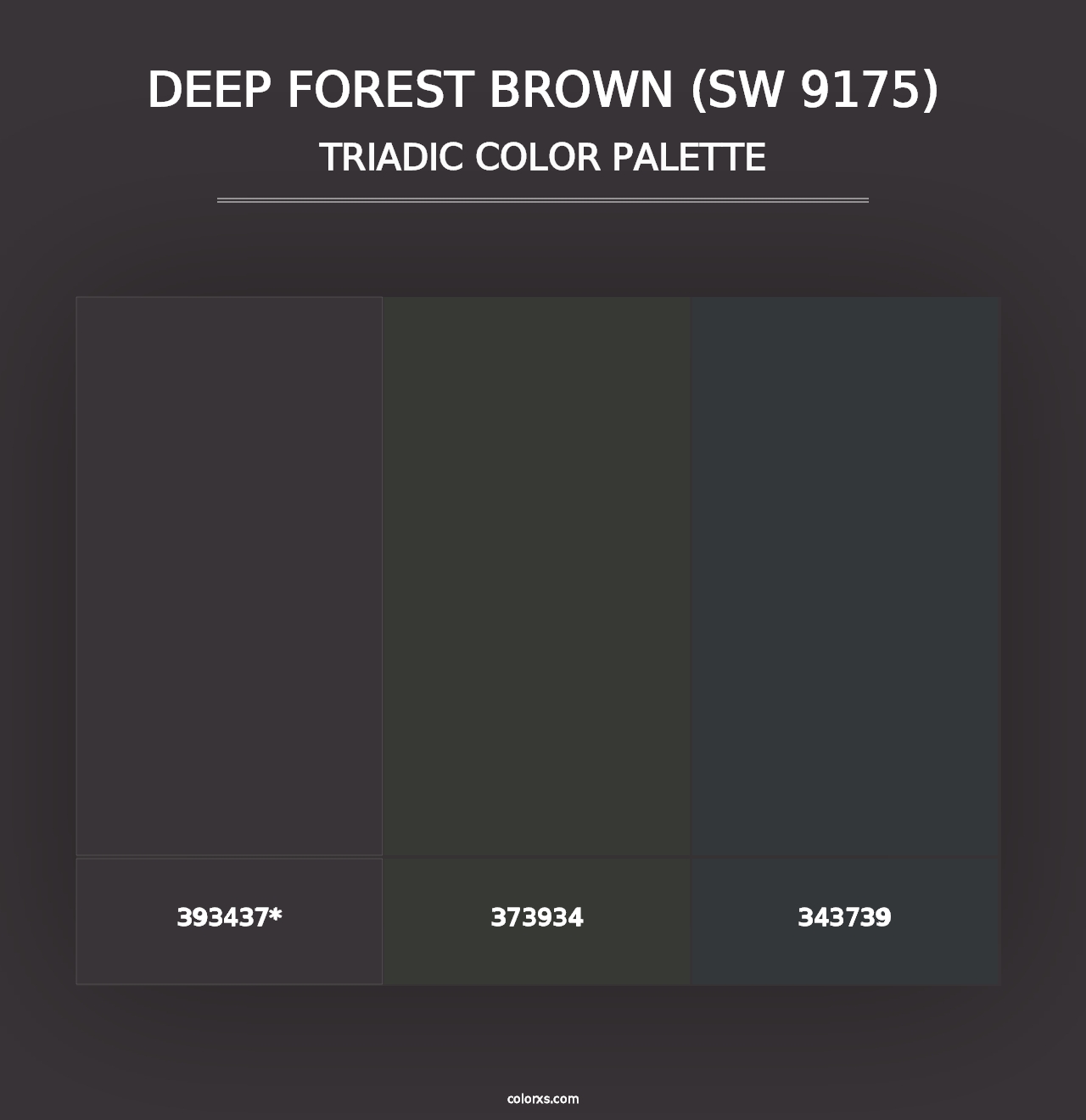 Deep Forest Brown (SW 9175) - Triadic Color Palette