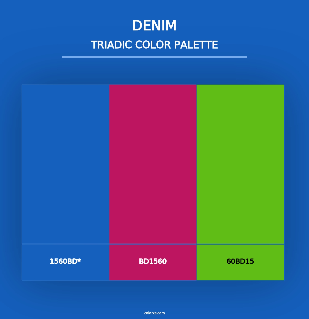 Denim - Triadic Color Palette