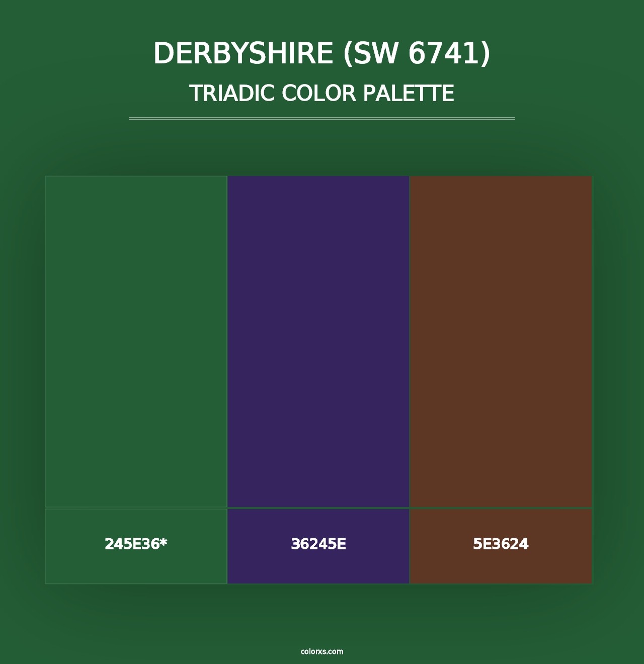 Derbyshire (SW 6741) - Triadic Color Palette