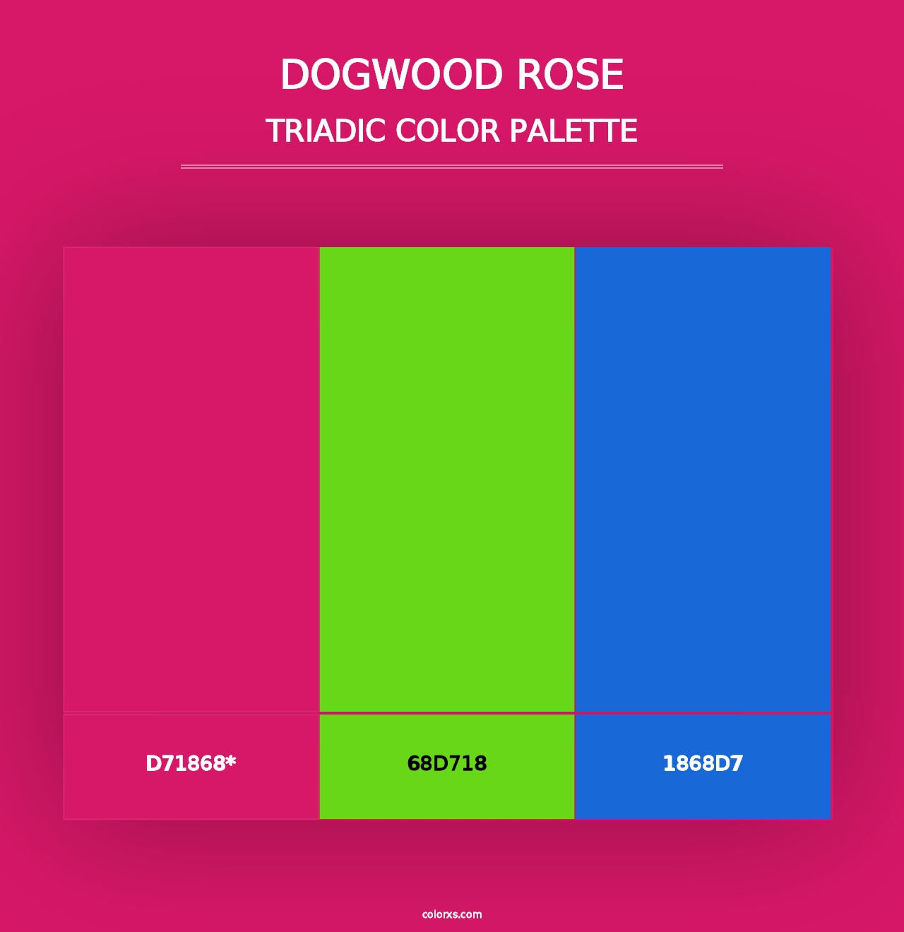 Dogwood Rose - Triadic Color Palette