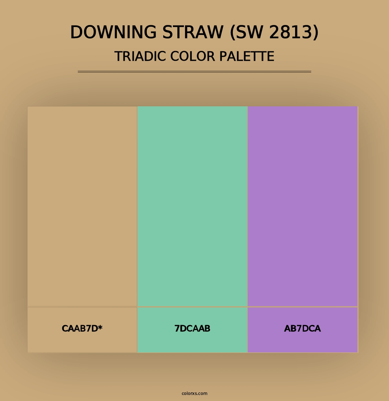 Downing Straw (SW 2813) - Triadic Color Palette