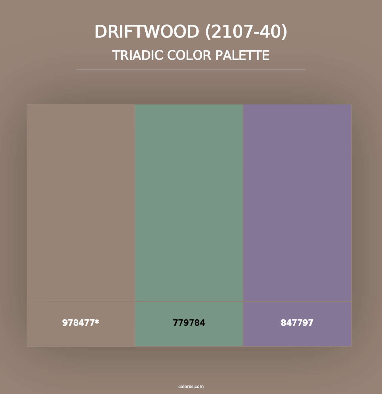 Driftwood (2107-40) - Triadic Color Palette