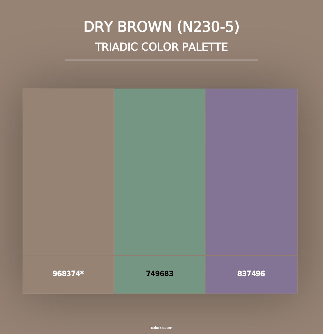 Dry Brown (N230-5) - Triadic Color Palette