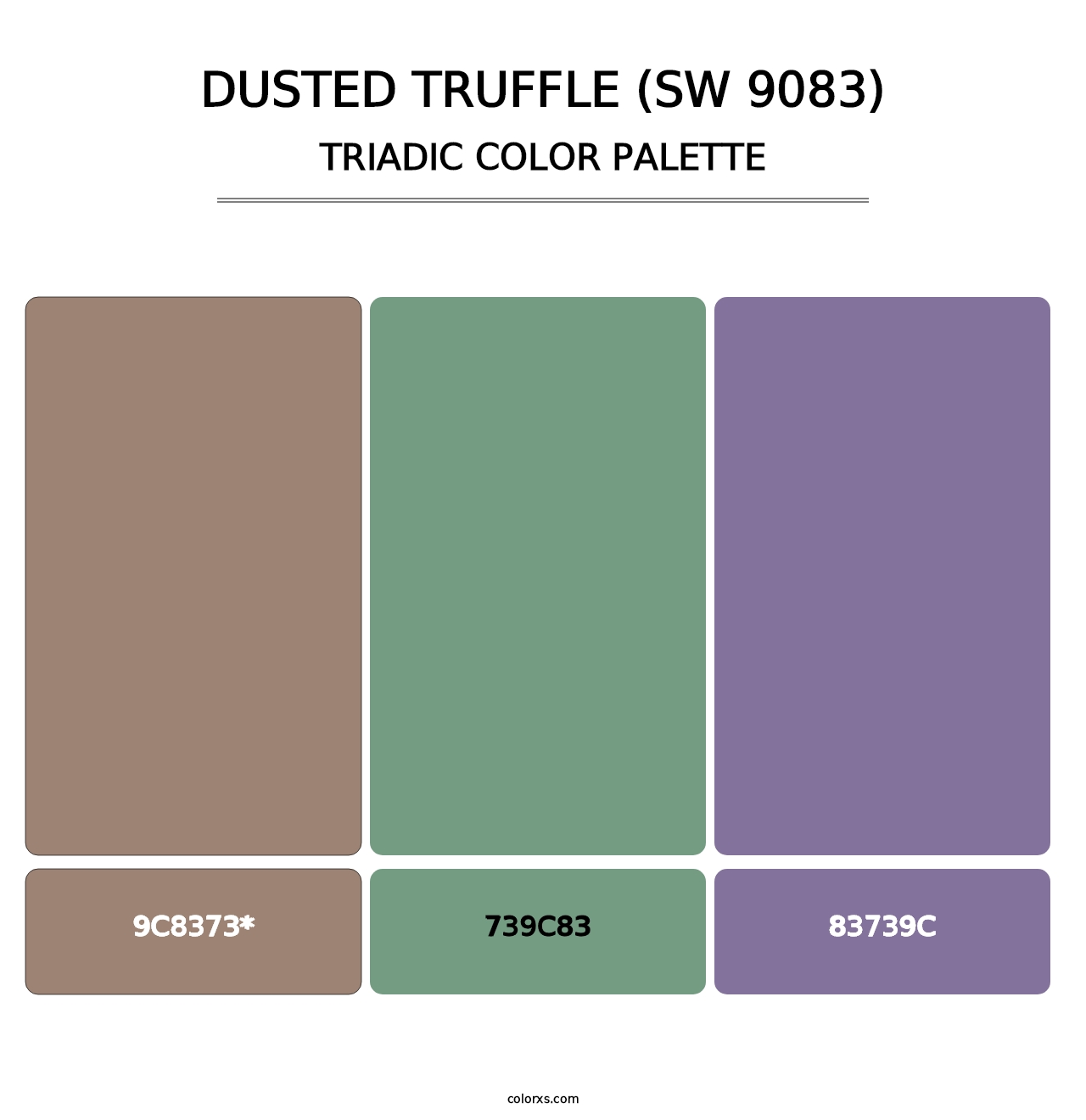 Dusted Truffle (SW 9083) - Triadic Color Palette