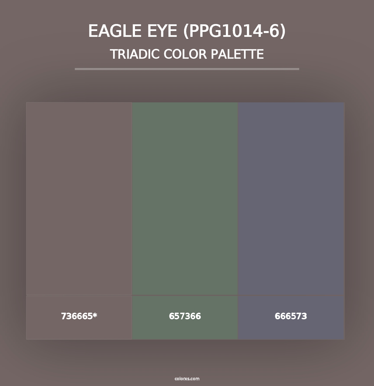 Eagle Eye (PPG1014-6) - Triadic Color Palette