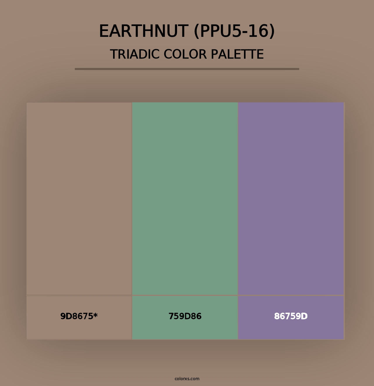 Earthnut (PPU5-16) - Triadic Color Palette