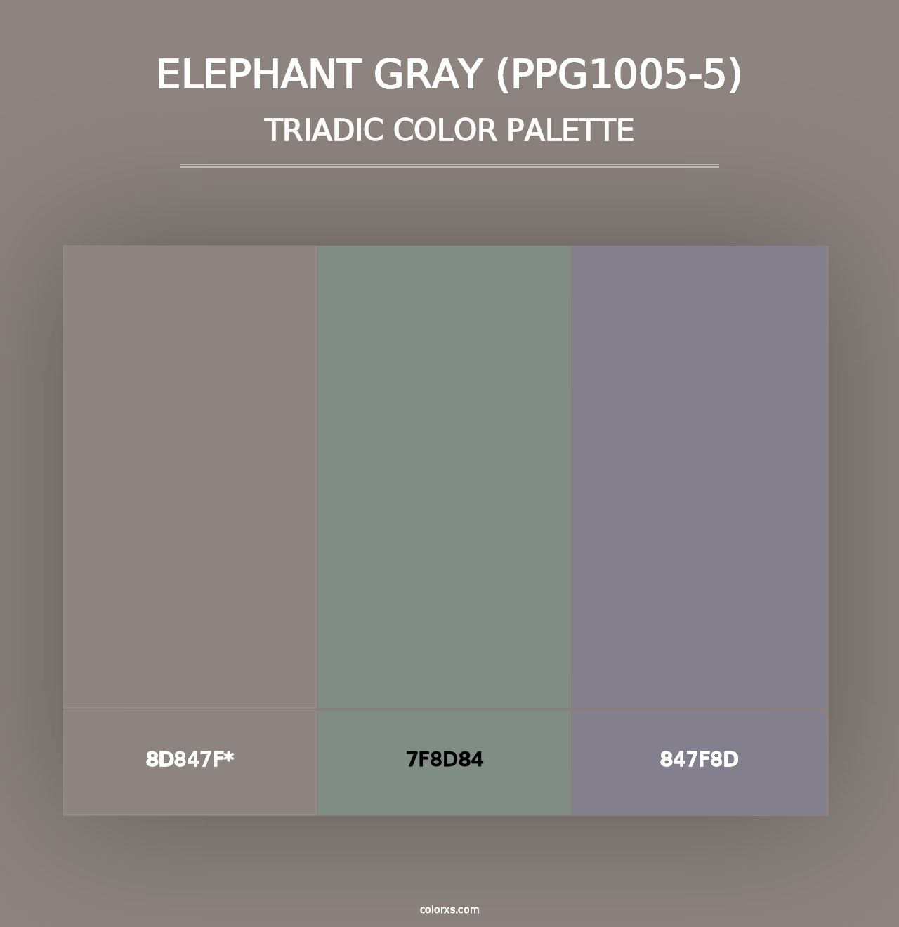 Elephant Gray (PPG1005-5) - Triadic Color Palette