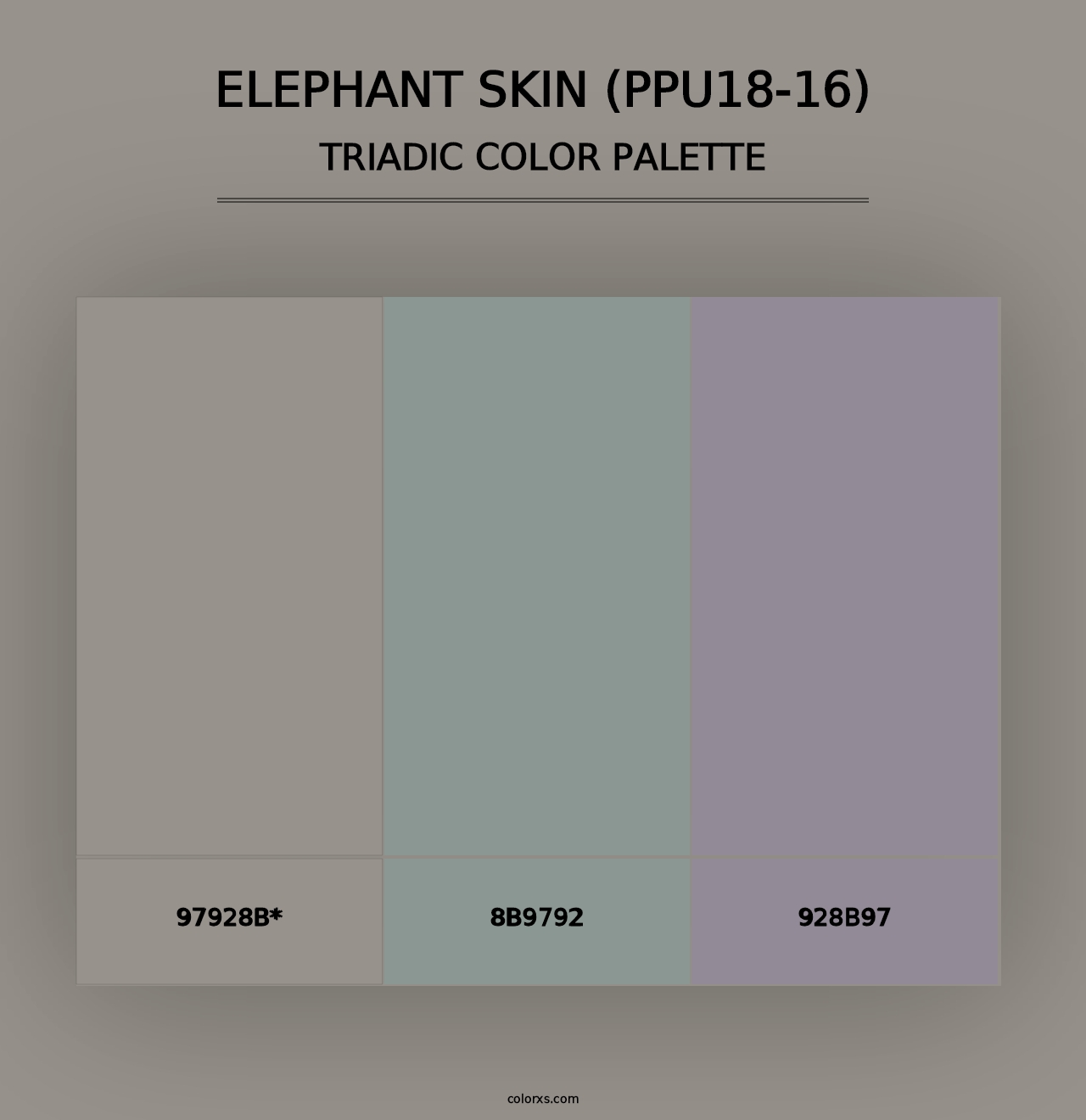 Elephant Skin (PPU18-16) - Triadic Color Palette