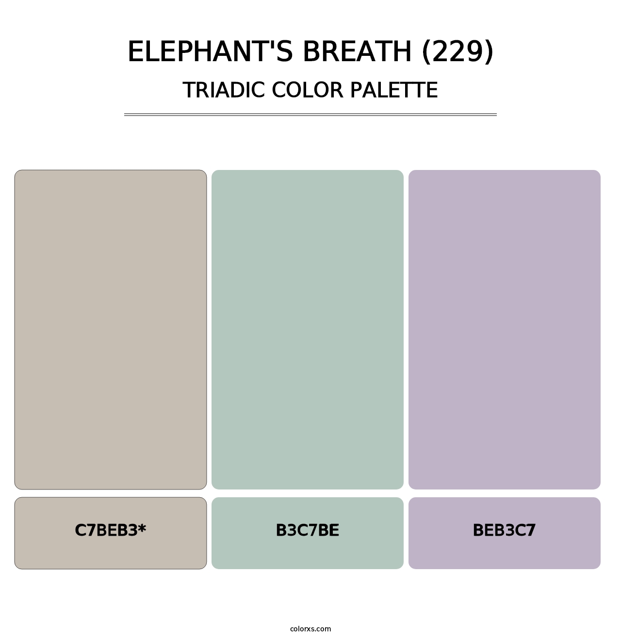 Elephant's Breath (229) - Triadic Color Palette