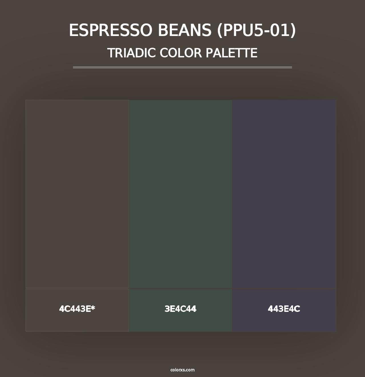 Espresso Beans (PPU5-01) - Triadic Color Palette