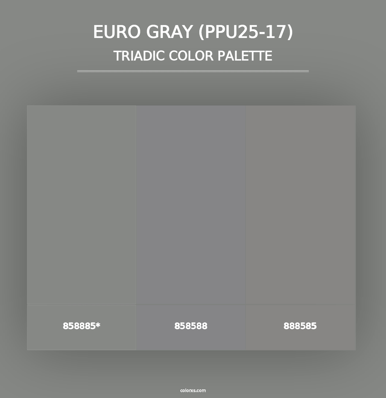 Euro Gray (PPU25-17) - Triadic Color Palette