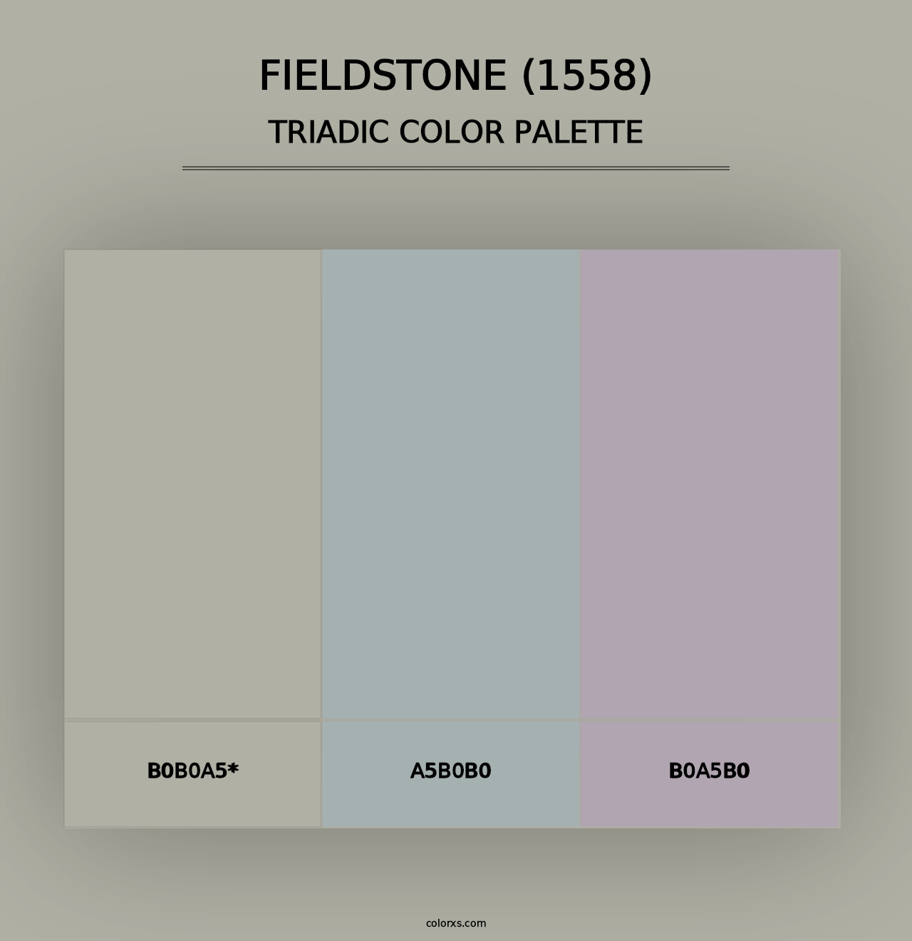 Fieldstone (1558) - Triadic Color Palette