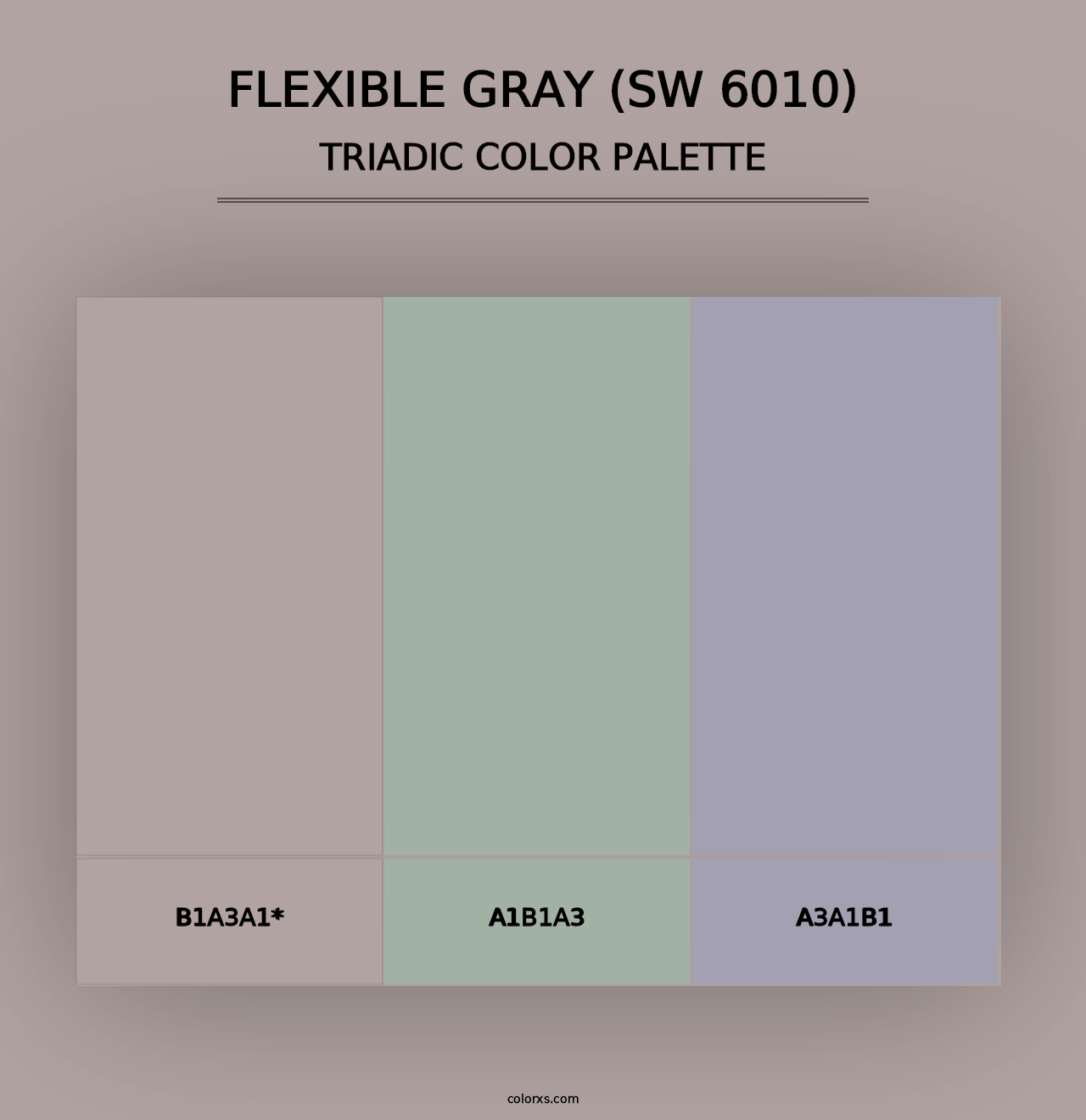 Flexible Gray (SW 6010) - Triadic Color Palette