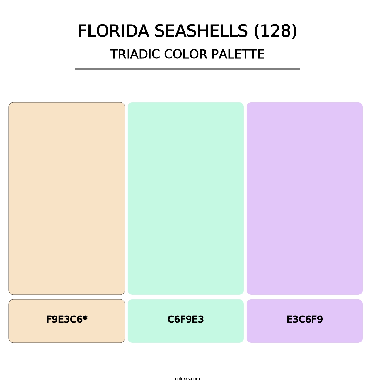 Florida Seashells (128) - Triadic Color Palette