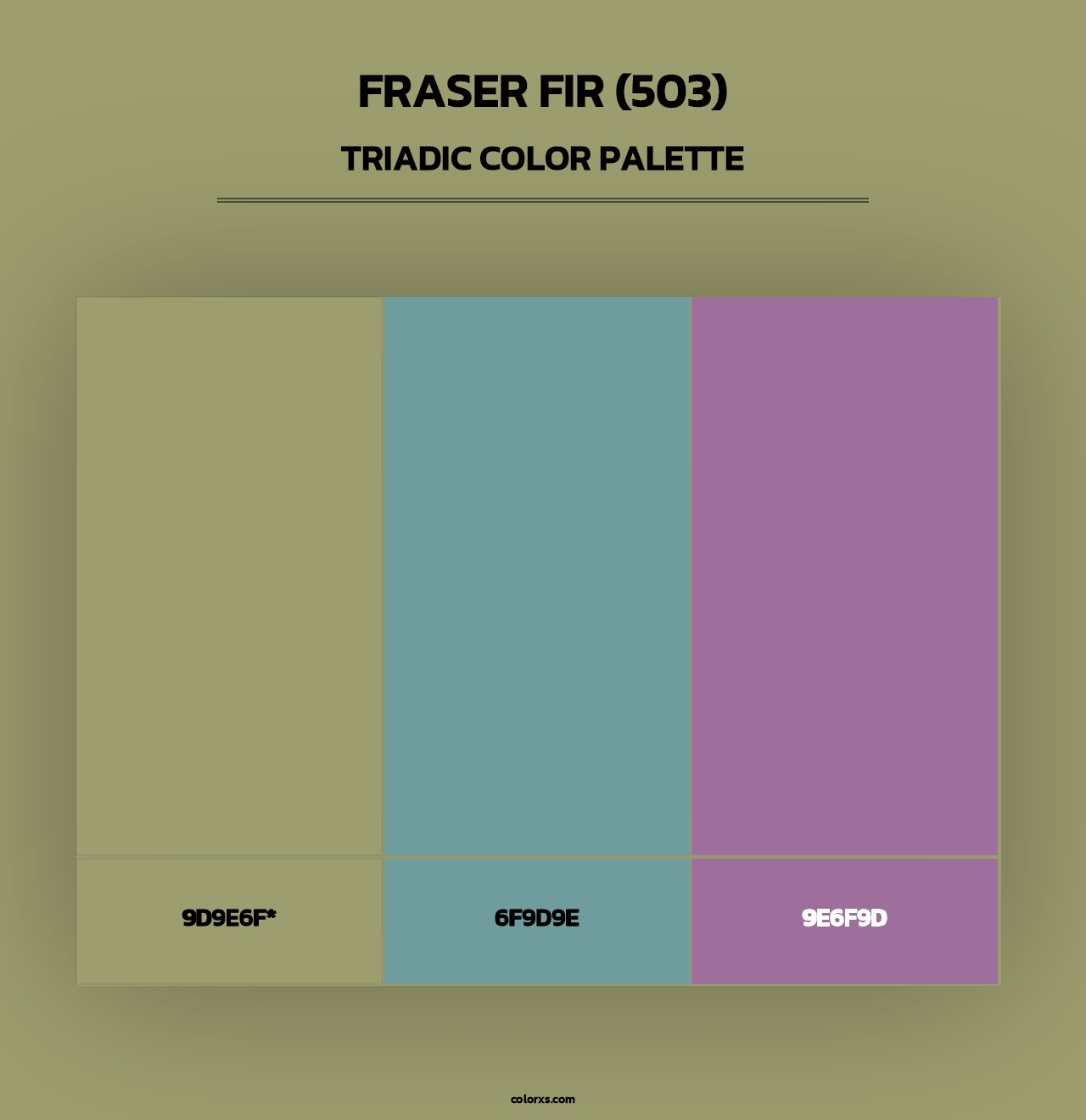 Fraser Fir (503) - Triadic Color Palette