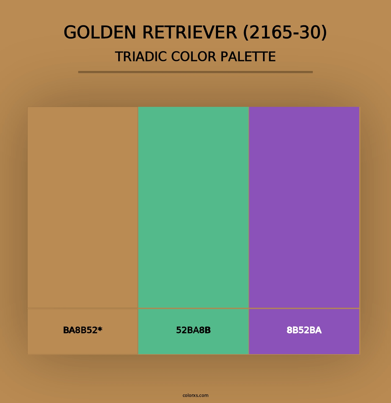 Golden Retriever (2165-30) - Triadic Color Palette