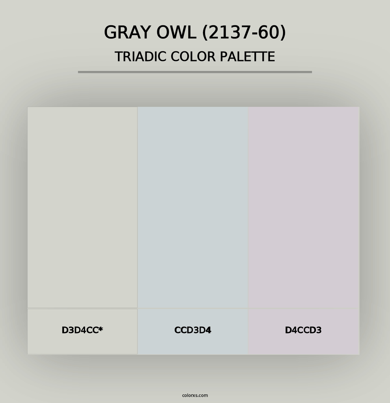 Gray Owl (2137-60) - Triadic Color Palette