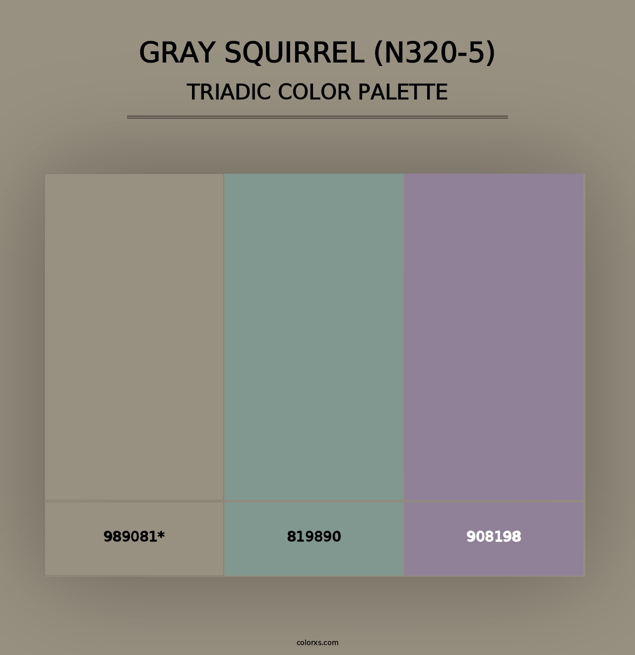 Gray Squirrel (N320-5) - Triadic Color Palette