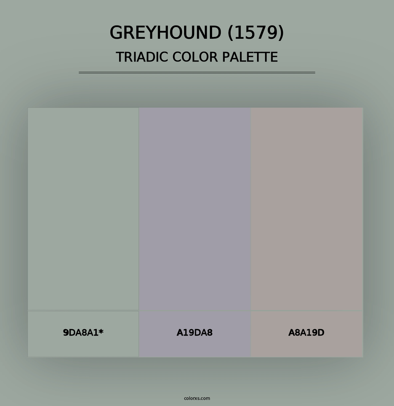 Greyhound (1579) - Triadic Color Palette